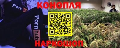 винт Нарткала