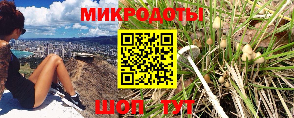 Галлюциногенные грибы мухоморы Сургут