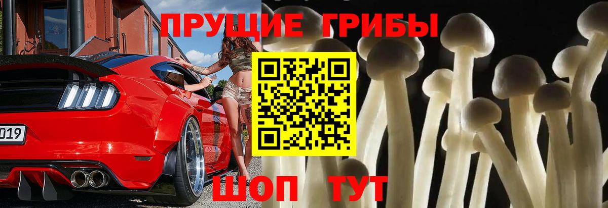 Сургут  Галлюциногенные грибы MAGIC MUSHROOMS  Вход с VPN  как найти закладки  Галлюциногенные грибы мухоморы 